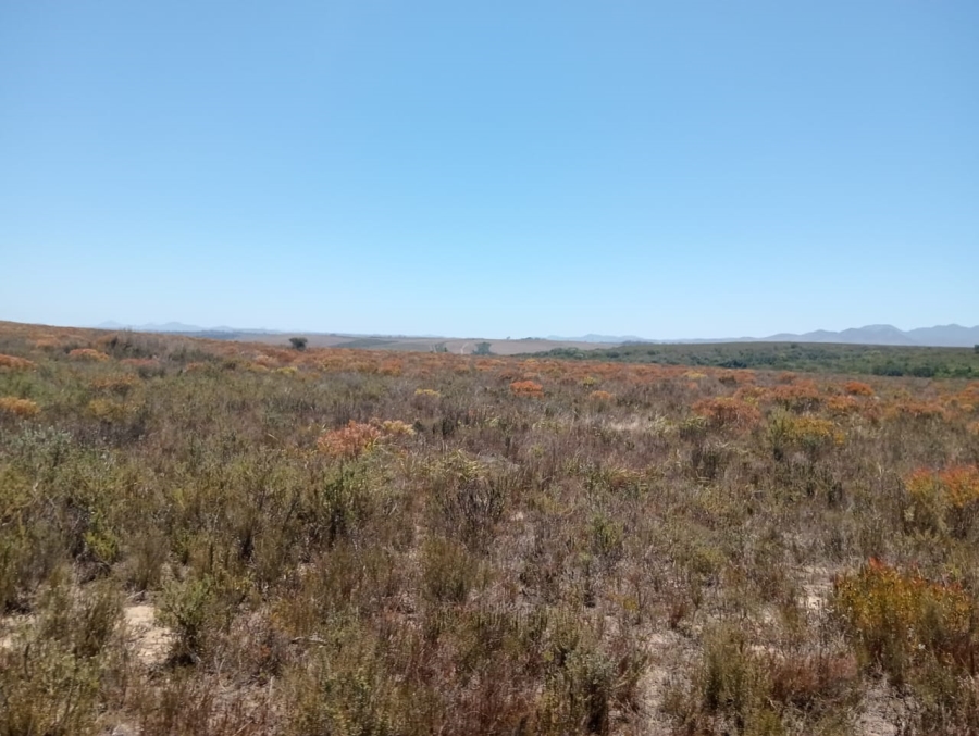 Commercial Property for Sale in Humansdorp Rural Eastern Cape